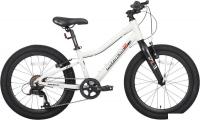 Детский велосипед Maxiscoo 3bike 20 L 2025 MSC-M3-2003 (серый, разобранный)