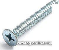 Шуруп ЕКТ CV010070M