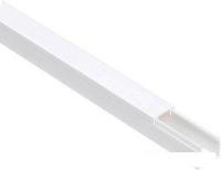 Кабель-канал Bylectrica КДК-Д 100x60 (2м)