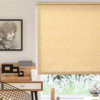 Рулонные шторы Delfa Сантайм Марс Жаккард СРШ-03Д 27012 (160x170, бежевый)