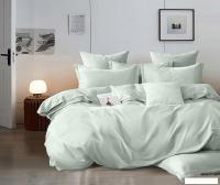 Постельное белье Реноме 2сп Оливковая коллекция на резинке Нежная мята 12-6205 (поплин)
