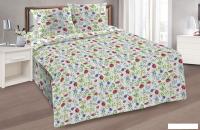Постельное белье Реноме 1.5сп Шуя 207171 (бязь)