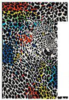 Ковер для жилой комнаты Devos Caby Maya 486 (120x170, лео)