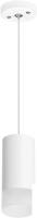Подвесная люстра Lightstar Rullo RP43631