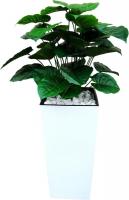 Искусственное растение Forgarden Филодендрон BN11136