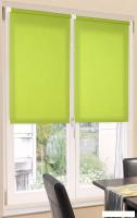 Мини рулонные шторы Delfa Сантайм Лен СРШ-01 МЭД2653 (115x160, светло-зеленый)