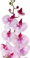 Искусственный цветок Forgarden Орхидея BN11117 (фуксия в крапинку)