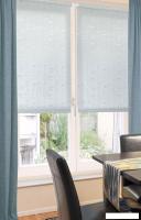 Рулонные шторы Delfa Сантайм Азия СРШ-03Д 25104 (120x170, серый)