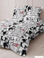 Постельное белье Реноме 1.5сп Шуя 209321 (бязь)