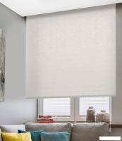 Рулонные шторы Delfa Сантайм Альба СРШ-03Д 8282 (200x170, серый)