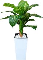 Искусственное растение Forgarden Диффенбахия пестролистная BN11132