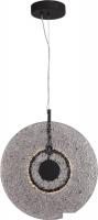 Подвесная люстра ST Luce SL6142.413.01