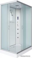 Душевой уголок Niagara NG-43285-14QF 120x80x215 (матовое стекло)