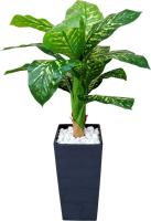 Искусственное растение Forgarden Диффенбахия пестролистная BN11133