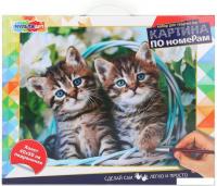 Картина по номерам MultiArt Котики CANV40X50-115356