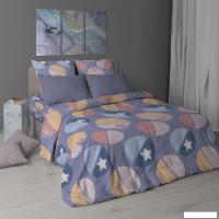 Постельное белье Реноме 2сп с Евро простыней Премиум Фиеста 7183-1 (бязь)