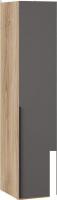 Шкаф-пенал Трия Порто СМ-393.07.001 с 1 глухой дверью (яблоня беллуно/графит софт)