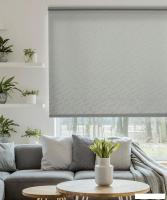 Рулонные шторы Delfa Сантайм Жаккард Веда СРШ-03Д 8618 (180x170, серый)