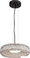 Подвесная люстра ST Luce SL6143.423.01