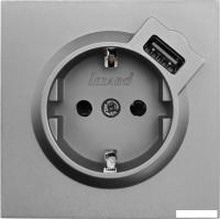Розетка USB Lezard Zima 704-7488-181 (серый матовый)