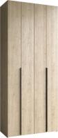 Шкаф-гармошка Евва Лайн ЛН-2D.450.01(0Z/0Z) (гикори кингстон)