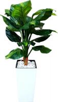 Искусственное растение Forgarden Диффенбахия BN11128