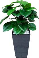 Искусственное растение Forgarden Филодендрон BN11137