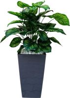 Искусственное растение Forgarden Филодендрон пестролистный BN11139