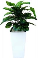 Искусственное растение Forgarden Филодендрон пестролистный BN11138