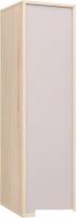 Шкаф распашной Аквилон Рэя №8 (туя светлый/кашемир)