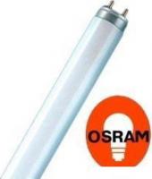 Люминесцентная лампа Osram L 36W/765 36Вт T8 6500К G13
