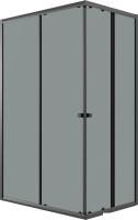 Душевой уголок Niagara Eco NG-1012-14QT 120x80x190 (черный/стекло тонированное)