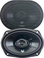 Коаксиальная АС Phoenix Gold Z69CXi