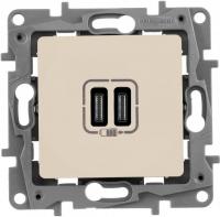 Розетка Type-C Legrand Etika 672335 (слоновая кость)