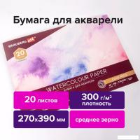 Альбом для рисования BRAUBERG Art Premiere 113223 (20 л)
