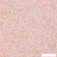 Жидкие обои Silk Plaster Standard 014