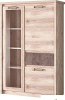 Шкаф-витрина Anrex Jazz 1V2D1S-1 (каштан найроби/оникс)