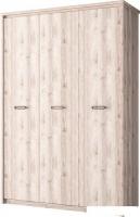 Шкаф распашной Anrex Jazz 3DG (каштан найроби)