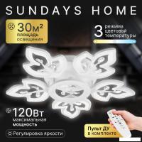 Припотолочная люстра Sundays Home KR-40 6327