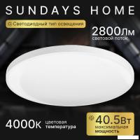 Припотолочная люстра Sundays Home 240924-12 5757 (белый)