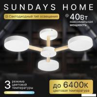 Припотолочная люстра Sundays Home 240924-22 5849