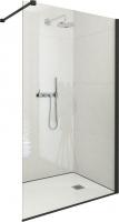 Душевая стенка Roth ECWALK/1000 (черный/прозрачное стекло)
