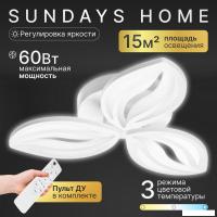 Подвесная люстра Sundays Home KR-38 6310