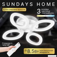 Припотолочная люстра Sundays Home 240924-24 5863