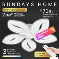 Подвесная люстра Sundays Home KR-43 6341