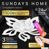 Подвесная люстра Sundays Home KR-36 6297
