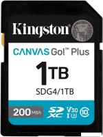 Карта памяти Kingston Canvas Go! Plus SDXC 1TB SDG4/1TB