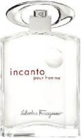 Туалетная вода Salvatore Ferragamo Incanto Pour Homme EdT (100 мл)