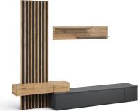 Шкаф-купе Империал Риана 2.5м (вотан/антрацит)