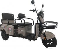 Трицикл Smart Balance Spartak 10 240W